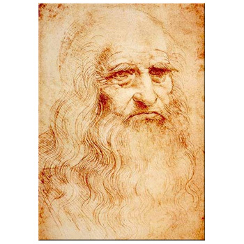 Canvas Leonardo (50x70) PRO