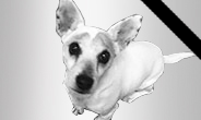 RIP_Leeru_Barketing_Manager