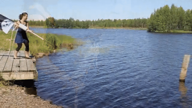 Uiva logolippu Norppa Uiva logolippu Norppa