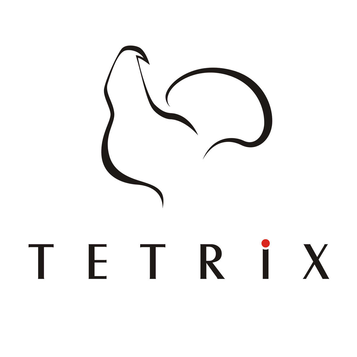 Logolippu ja mainoslippu valmistaja TETRIX